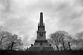 Skane (41)